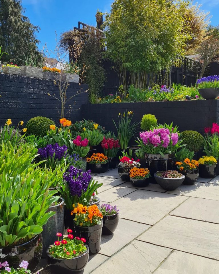 Urban Patio Garden Oasis