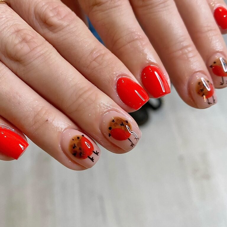 Festive Robin Nails